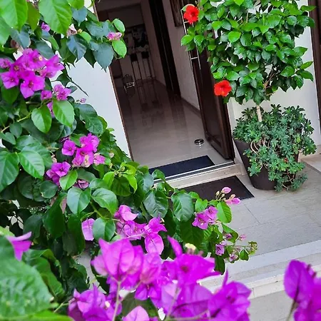 Blue Sea * Baška Voda