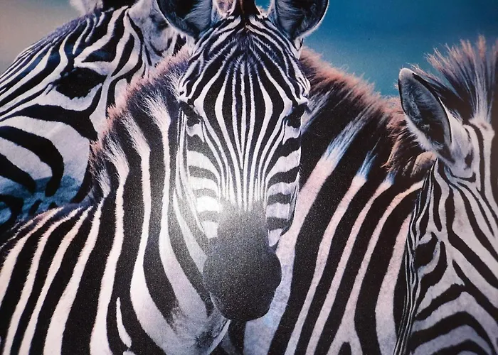 Appartamento Blue Sea